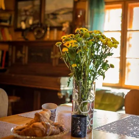 Chalet Gosciniec Tokarzonka Istebna