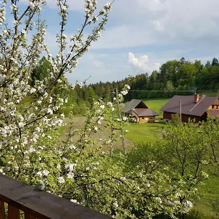 Gosciniec Tokarzonka * Istebna