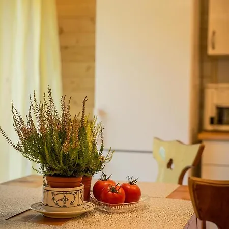 Gosciniec Tokarzonka Istebna