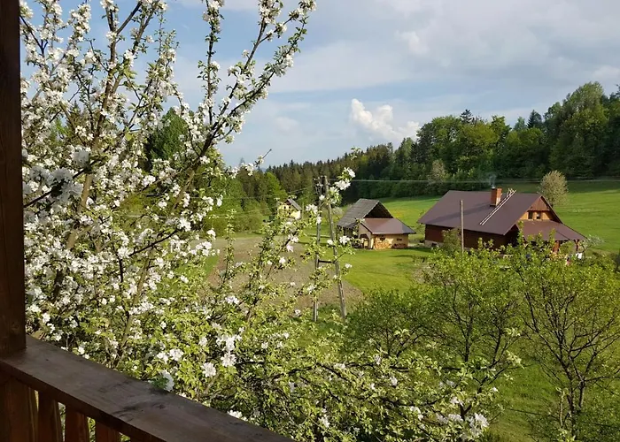 Gosciniec Tokarzonka * Истебна