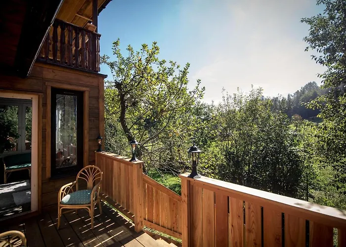 Gosciniec Tokarzonka *