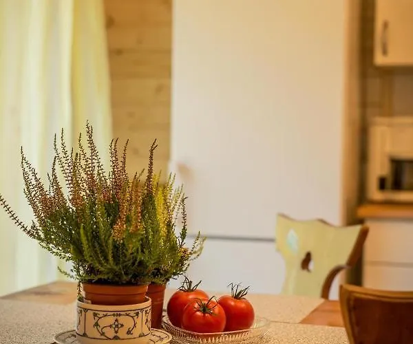 Gosciniec Tokarzonka Istebna