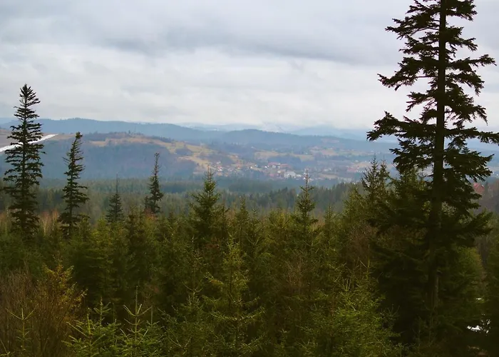 Chalet Gosciniec Tokarzonka Istebna