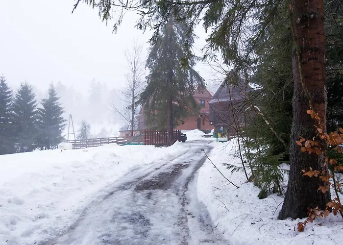 Gosciniec Tokarzonka Chalet Istebna
